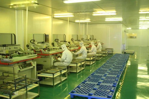 中共湛江市委十一屆十次全會(huì)工作報(bào)告要點(diǎn) 深化人力資源服務(wù)，規(guī)范職業(yè)中介活動(dòng)，賦能高質(zhì)量發(fā)展